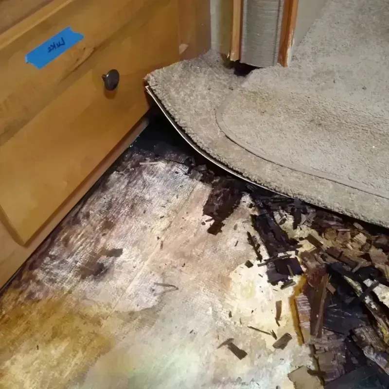 Best Wood Floor Water Damage Service in Ford County, IL